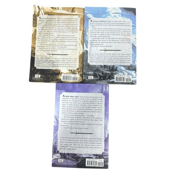 Prince Warriors Series 3 Book Set Priscilla Shirer Christian YA Fantasy - Picture 3 of 3